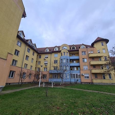 شقة Apartament Primitor Si Convenabil Pentru Buzunarul Tau أرادايا المظهر الخارجي الصورة