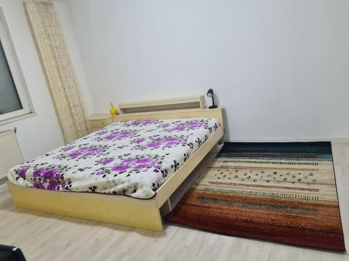 شقة Apartament Primitor Si Convenabil Pentru Buzunarul Tau أرادايا المظهر الخارجي الصورة